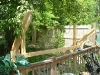 dscf0001